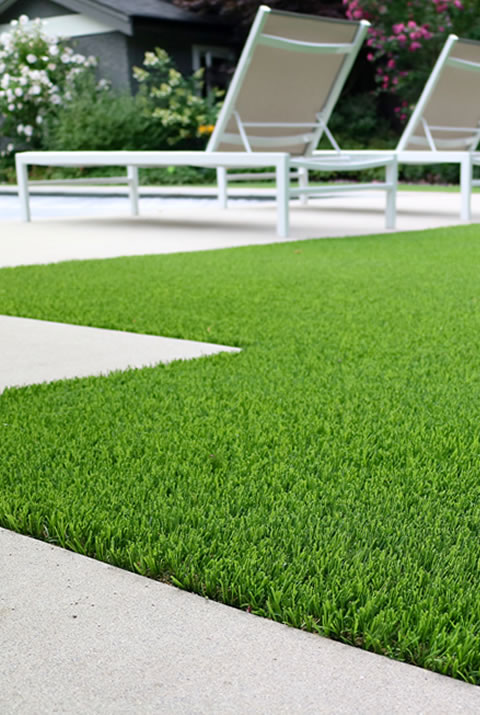 Freshly mowed green lawn