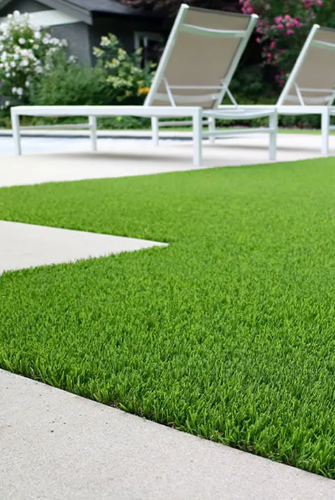 Freshly mowed green lawn